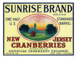 Sunrise Brand Cranberry Label Prints