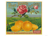 Rose Orange Label - Redlands, CA Prints