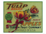 Tulip Apple Crate Label - Yakima, WA Posters