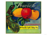 Peacock Apple Crate Label - Watsonville, CA Print