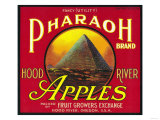 Pharaoh Apple Crate Label - Hood River, OR Poster