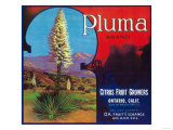 Pluma Orange Label - Upland, CA Print