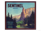 Sentinel Orange Label - Lindsay, CA Prints