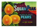 Squaw Peak Pear Crate Label - Provo, UT Print