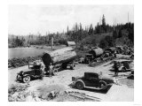 Seven Logging Trucks with 7 ft. diameter Firs Photograph - Cascades, OR Print