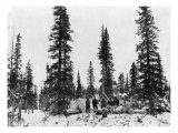 Snow Camping North of the Arctic Circle Photograph - Alaska Prints