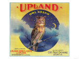 Owl Orange Label - Upland, CA Prints
