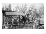 View of Lumberjacks at a Mill - McCloud, CA Print