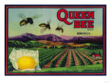 Queen Bee Lemon Label - Corona, CA Print