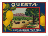 Questa Lemon Label - Corona, CA Posters