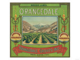 Orangedale Orange Label - Redlands, CA Poster