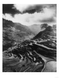 Rice Terraces in the Philippines Photograph - Philippines Print