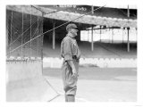 Tom Needham, Chicago Cubs, Baseball Photo No.1 Posters