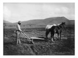 Native American Plowing His Field Photograph - Sacaton Indian Reservation, AZ Posters