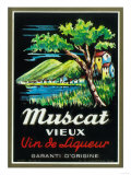 Muscat Vieux Wine Label - Europe Posters
