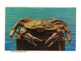 Dungeness Crab on Hood Canal - Hood Canal, WA Posters