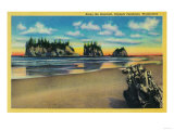 Pacific Seacoast, Olympic Peninsula - Olympic National Park Prints