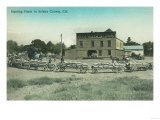 View of Millers Hauling Grain to Mill - Solano County, CA Posters View of Millers Hauling Grain to Mill - Solano County, CA Posters