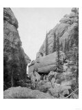 Sunday Picnic at the Gulch near Custer City Photograph - Custer City, SD Poster