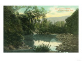 View of the San Lorenzo River - Boulder Creek, CA Photo