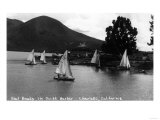 View of Sail Boats in Yacht Harbor - Clear Lake, CA Posters