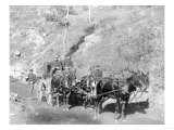 US Paymaster and Guards on Deadwood Road Photograph - Fort Meade, SD Posters