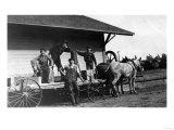 Young Men Posing on a Mule Wagon Poster
