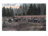 American Lake, Washington - A Mule Team at Camp Lewis Pósters American Lake, Washington - A Mule Team at Camp Lewis Pósters