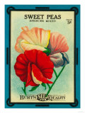 Sweet Peas Seed Packet Posters