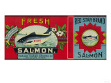 Red Star Salmon Can Label - Ketchican, AK Prints