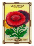 Centaurea Seed Packet Posters