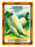 Parsnip Seed Packet Posters