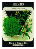 Herbs Seed Packet Posters