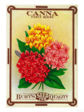 Canna Seed Packet Posters