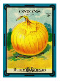Onions Seed Packet Posters