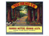 Yosemite Orange Label - Ivanhoe, CA Posters
