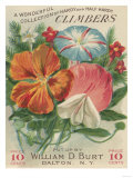 Climbers Seed Packet Photo