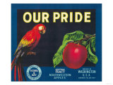 Our Pride Apple Label - Washington State Photo
