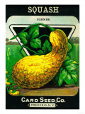 Squash Seed Packet Posters