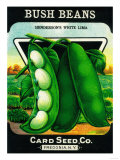 Bush Beans Seed Packet Posters