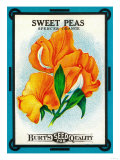 Sweet Peas Seed Packet Posters