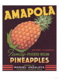 Amapola Pineapple Label - Corozal, PR Posters