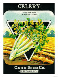 Celery Seed Packet Posters