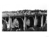 View of the Hangman Bridge - Spokane, WA Photo