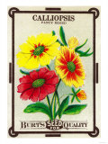 Calliopsis Seed Packet Posters