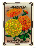 Calendula Seed Packet Posters