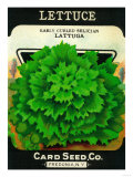 Lettuce Seed Packet Posters