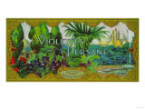 Violettes Persanes Soap Label - Paris, France Pósters