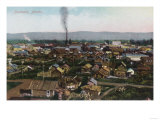 Aerial View of City - Fairbanks, AK Posters