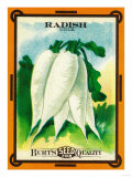 Radish Seed Packet Posters